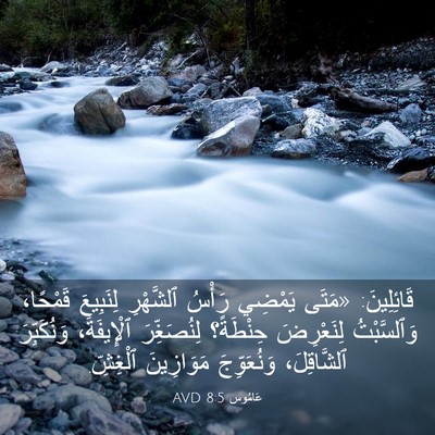 Picture 03 - عَامُوس 8:5 AVD - قَائِلِينَ: «مَتَى يَمْضِي - Bible Verse Picture