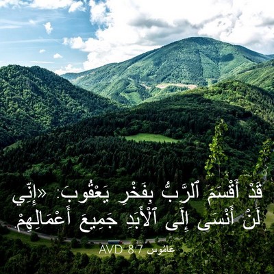 Picture 03 - عَامُوس 8:7 AVD - قَدْ أَقْسَمَ ٱلرَّبُّ - Bible Verse Picture