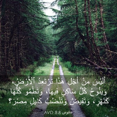 Picture 03 - عَامُوس 8:8 AVD - أَلَيْسَ مِنْ أَجْلِ هَذَا - Bible Verse Picture