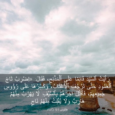 Picture 03 - عَامُوس 9:1 AVD - رَأَيْتُ ٱلسَّيِّدَ - Bible Verse Picture