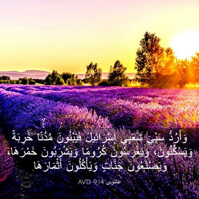 Picture 03 - عَامُوس 9:14 AVD - وَأَرُدُّ سَبْيَ شَعْبِي - Bible Verse Picture