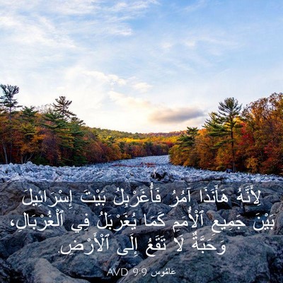 Picture 03 - عَامُوس 9:9 AVD - لِأَنَّهُ هَأَنَذَا آمُرُ - Bible Verse Picture