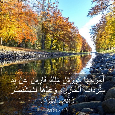 Picture 03 - عَزْرَا 1:8 AVD - أَخْرَجَهَا كُورَشُ - Bible Verse Picture