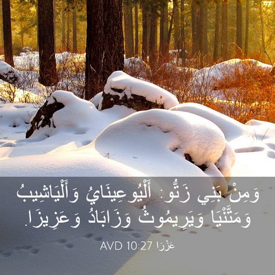 Picture 03 - عَزْرَا 10:27 AVD - وَمِنْ بَنِي زَتُّو: - Bible Verse Picture