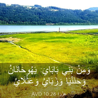 Picture 03 - عَزْرَا 10:28 AVD - وَمِنْ بَنِي بَابَايَ: - Bible Verse Picture