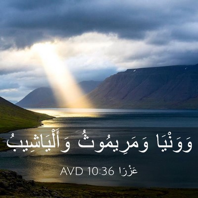 Picture 03 - عَزْرَا 10:36 AVD - وَوَنْيَا وَمَرِيمُوثُ - Bible Verse Picture