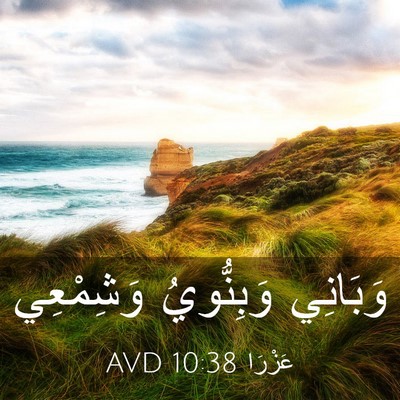Picture 03 - عَزْرَا 10:38 AVD - وَبَانِي وَبِنُّويُ - Bible Verse Picture