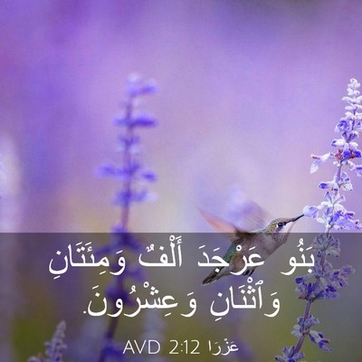 Picture 03 - عَزْرَا 2:12 AVD - بَنُو عَرْجَدَ أَلْفٌ - Bible Verse Picture