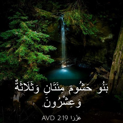 Picture 03 - عَزْرَا 2:19 AVD - بَنُو حَشُومَ مِئَتَانِ - Bible Verse Picture