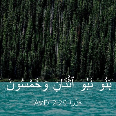 Picture 03 - عَزْرَا 2:29 AVD - بَنُو نَبُو ٱثْنَانِ - Bible Verse Picture