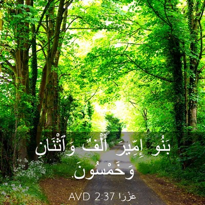 Picture 03 - عَزْرَا 2:37 AVD - بَنُو إِمِّيرَ أَلْفٌ - Bible Verse Picture