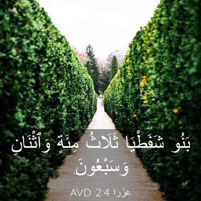 Picture 03 - عَزْرَا 2:4 AVD - بَنُو شَفَطْيَا ثَلَاثُ - Bible Verse Picture