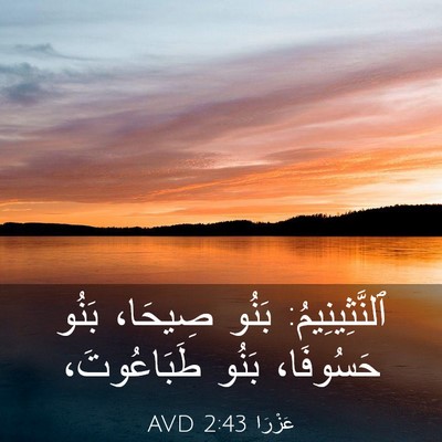 Picture 03 - عَزْرَا 2:43 AVD - ٱلنَّثِينِيمُ: بَنُو - Bible Verse Picture