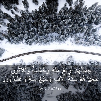 Picture 03 - عَزْرَا 2:67 AVD - جِمَالُهُمْ أَرْبَعُ - Bible Verse Picture