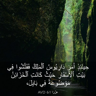 Picture 03 - عَزْرَا 6:1 AVD - حِينَئِذٍ أَمَرَ - Bible Verse Picture