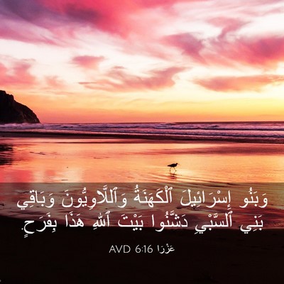 Picture 03 - عَزْرَا 6:16 AVD - وَبَنُو إِسْرَائِيلَ - Bible Verse Picture
