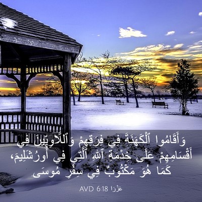 Picture 03 - عَزْرَا 6:18 AVD - وَأَقَامُوا ٱلْكَهَنَةَ - Bible Verse Picture