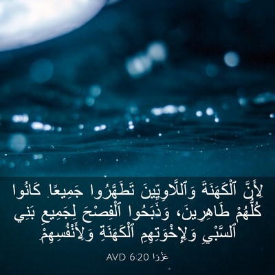 Picture 03 - عَزْرَا 6:20 AVD - لِأَنَّ ٱلْكَهَنَةَ - Bible Verse Picture