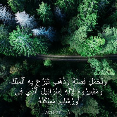 Picture 03 - عَزْرَا 7:15 AVD - وَلِحَمْلِ فِضَّةٍ - Bible Verse Picture