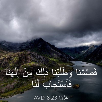 Picture 03 - عَزْرَا 8:23 AVD - فَصُمْنَا وَطَلَبْنَا - Bible Verse Picture