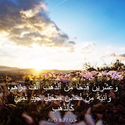 Picture 03 - عَزْرَا 8:27 AVD - وَعِشْرِينَ قَدَحًا مِنَ - Bible Verse Picture