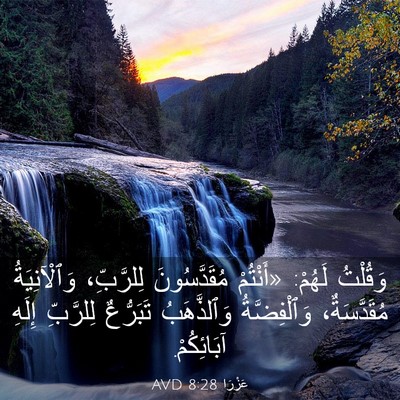 Picture 03 - عَزْرَا 8:28 AVD - وَقُلْتُ لَهُمْ: «أَنْتُمْ - Bible Verse Picture