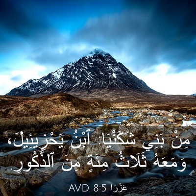 Picture 03 - عَزْرَا 8:5 AVD - مِنْ بَنِي شَكَنْيَا: - Bible Verse Picture