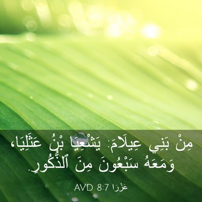 Picture 03 - عَزْرَا 8:7 AVD - مِنْ بَنِي عِيلَامَ: - Bible Verse Picture