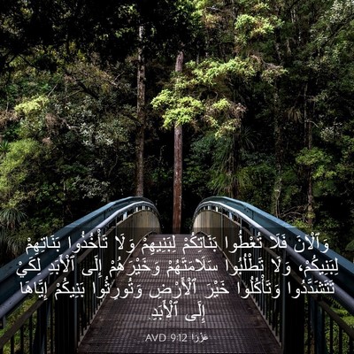 Picture 03 - عَزْرَا 9:12 AVD - وَٱلْآنَ فَلَا تُعْطُوا - Bible Verse Picture
