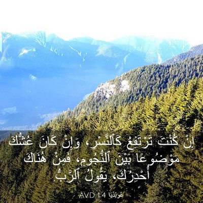 Picture 03 - عُوبَدْيَا 1:4 AVD - إِنْ كُنْتَ تَرْتَفِعُ - Bible Verse Picture