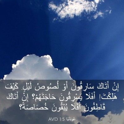 Picture 03 - عُوبَدْيَا 1:5 AVD - إِنْ أَتَاكَ سَارِقُونَ - Bible Verse Picture
