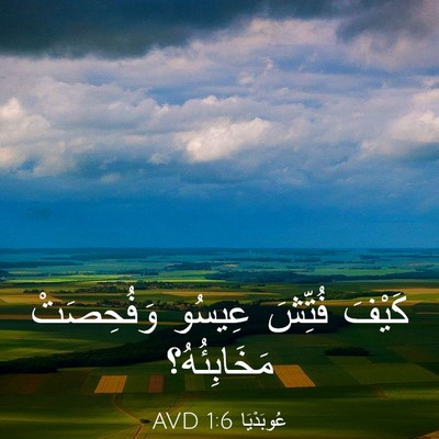 Picture 03 - عُوبَدْيَا 1:6 AVD - كَيْفَ فُتِّشَ عِيسُو - Bible Verse Picture