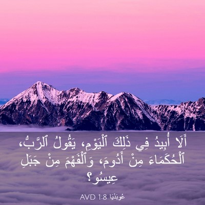 Picture 03 - عُوبَدْيَا 1:8 AVD - أَلَا أُبِيدُ فِي ذَلِكَ - Bible Verse Picture