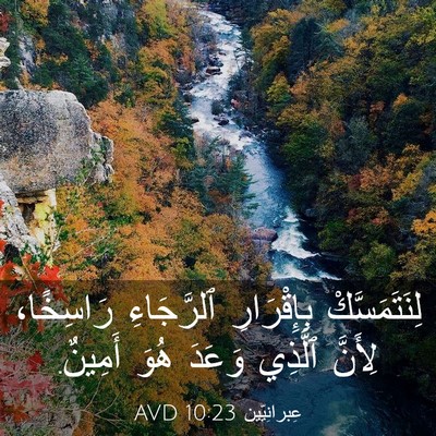 Picture 03 - عِبرانِيّين 10:23 AVD - لِنَتَمَسَّكْ بِإِقْرَارِ - Bible Verse Picture