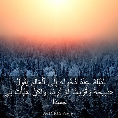 Picture 03 - عِبرانِيّين 10:5 AVD - لِذَلِكَ عِنْدَ دُخُولِهِ - Bible Verse Picture