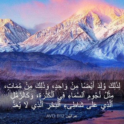 Picture 03 - عِبرانِيّين 11:12 AVD - لِذَلِكَ وُلِدَ أَيْضًا - Bible Verse Picture