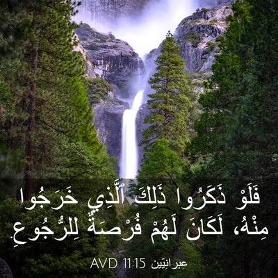 Picture 03 - عِبرانِيّين 11:15 AVD - فَلَوْ ذَكَرُوا ذَلِكَ - Bible Verse Picture