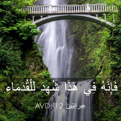 Picture 03 - عِبرانِيّين 11:2 AVD - فَإِنَّهُ فِي هَذَا شُهِدَ - Bible Verse Picture