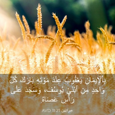 Picture 03 - عِبرانِيّين 11:21 AVD - بِٱلْإِيمَانِ يَعْقُوبُ - Bible Verse Picture