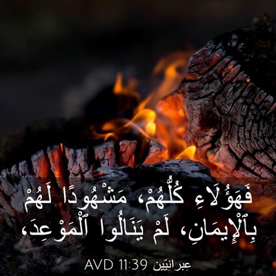 Picture 03 - عِبرانِيّين 11:39 AVD - فَهَؤُلَاءِ كُلُّهُمْ، - Bible Verse Picture