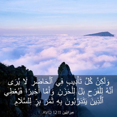 Picture 03 - عِبرانِيّين 12:11 AVD - وَلَكِنَّ كُلَّ تَأْدِيبٍ - Bible Verse Picture