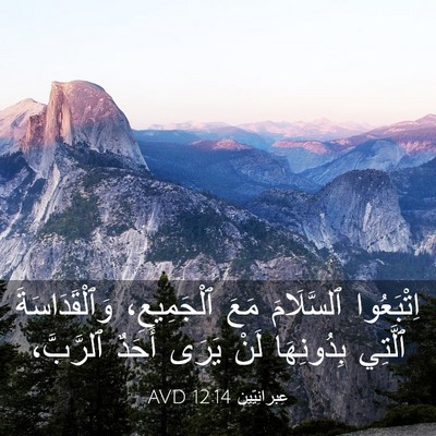 Picture 03 - عِبرانِيّين 12:14 AVD - اِتْبَعُوا ٱلسَّلَامَ - Bible Verse Picture