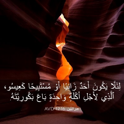 Picture 03 - عِبرانِيّين 12:16 AVD - لِئَلَّا يَكُونَ أَحَدٌ - Bible Verse Picture