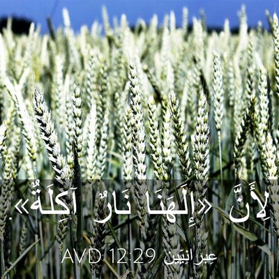 Picture 03 - عِبرانِيّين 12:29 AVD - لِأَنَّ «إِلَهَنَا نَارٌ - Bible Verse Picture