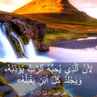 Picture 03 - عِبرانِيّين 12:6 AVD - لِأَنَّ ٱلَّذِي يُحِبُّهُ - Bible Verse Picture
