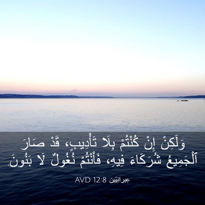 Picture 03 - عِبرانِيّين 12:8 AVD - وَلَكِنْ إِنْ كُنْتُمْ - Bible Verse Picture
