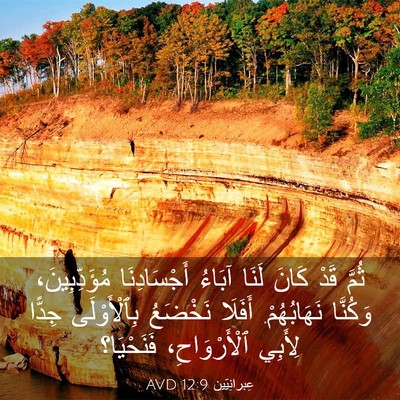 Picture 03 - عِبرانِيّين 12:9 AVD - ثُمَّ قَدْ كَانَ لَنَا - Bible Verse Picture