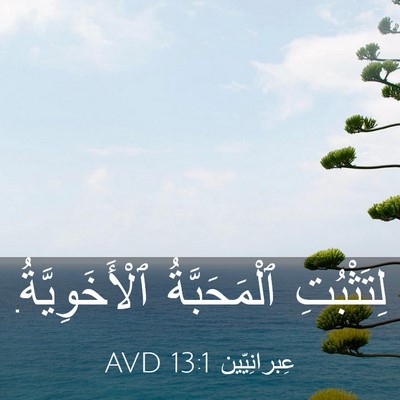 Picture 03 - عِبرانِيّين 13:1 AVD - لِتَثْبُتِ ٱلْمَحَبَّةُ - Bible Verse Picture