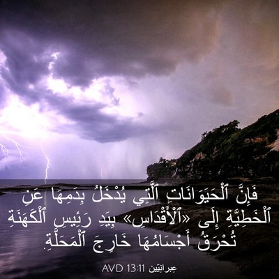 Picture 03 - عِبرانِيّين 13:11 AVD - فَإِنَّ ٱلْحَيَوَانَاتِ - Bible Verse Picture