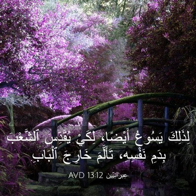 Picture 03 - عِبرانِيّين 13:12 AVD - لِذَلِكَ يَسُوعُ أَيْضًا، - Bible Verse Picture